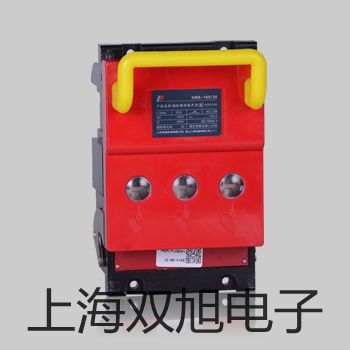 【雙旭牌】電子天平S-203參數(shù)