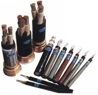 245IEC81(YH) ����늺��C��|/�r��/���a(ch��n)�S��/245IEC81(YH)